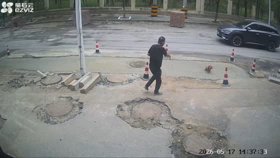 Pedestrians and dogs accidentally step into wet cement on roadside in Liaoning, China