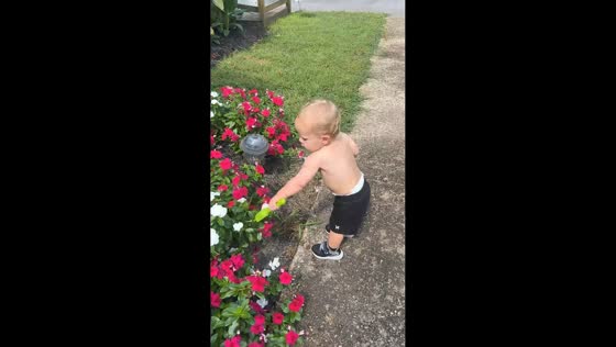 Funny difference between two brothers playing in the garden in Mount Laurel, New Jersey, USA