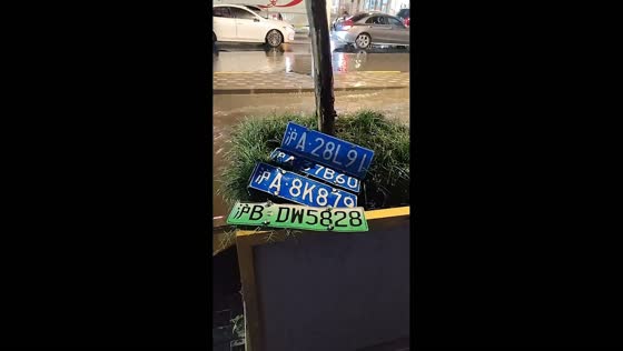 Flood-dislodged license plates lined up after heavy rain in Shanghai, China