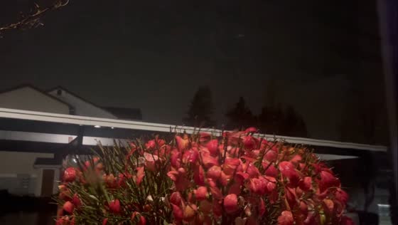 Nighttime downpour and gusty winds sweep in Milton, Washington