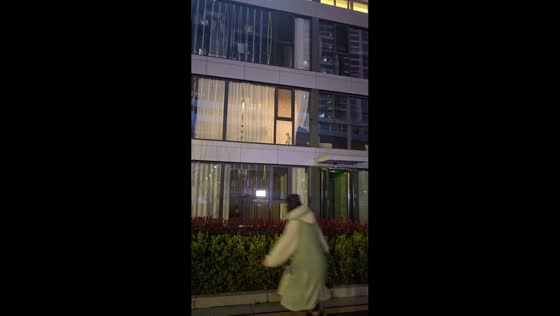 Cat playfully follows woman outside building in Jiangsu, China