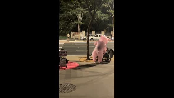 Pig-singing street performer helps fallen cyclist in São Paulo