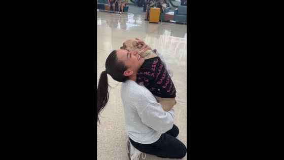 Woman reunites with French Bulldog after months apart in Orlando, Florida, USA