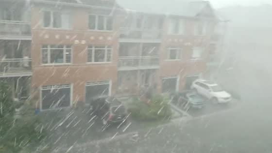 Ottawa battling record-breaking storm: resilience amidst deluge and chaos