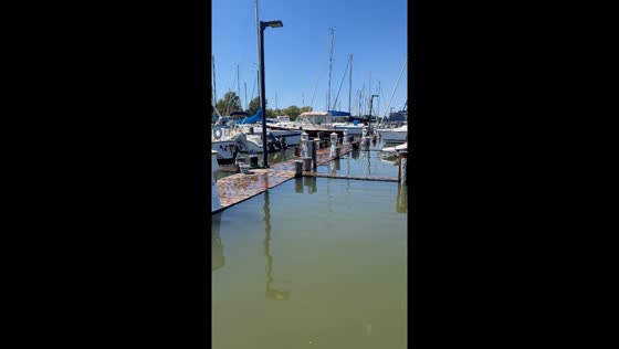 Rising tide in Cambridge, Maryland, USA