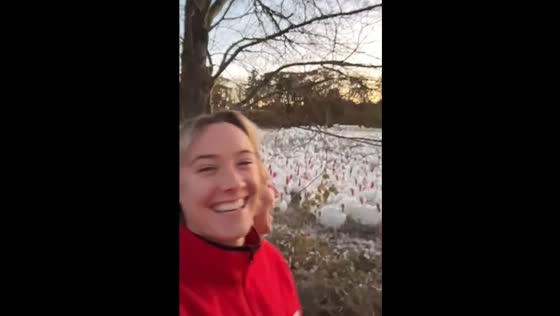Turkeys respond to person's noises in Portsmouth, New Hampshire