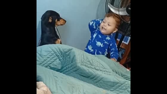Dachshund and toddler share playful moment beside bed in Buenos Aires, Argentina