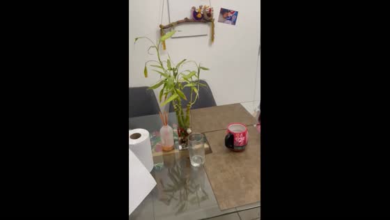  Earthquake hits Antofagasta, Chile