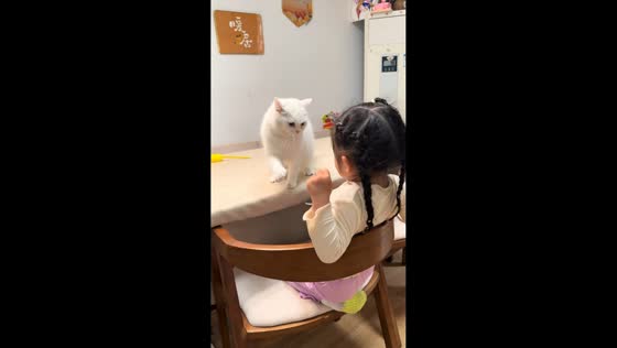 Girl and cat share playful “scuffle” at home in Guangzhou, China