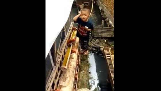 The boy was suddenly pecked by a chicken in the chicken coop
