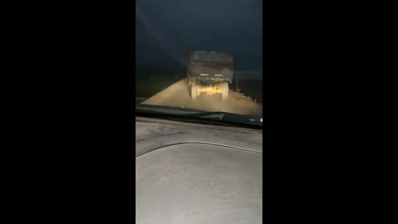 Driver alerts farmer after corn spills from tricycle in Hebei, China