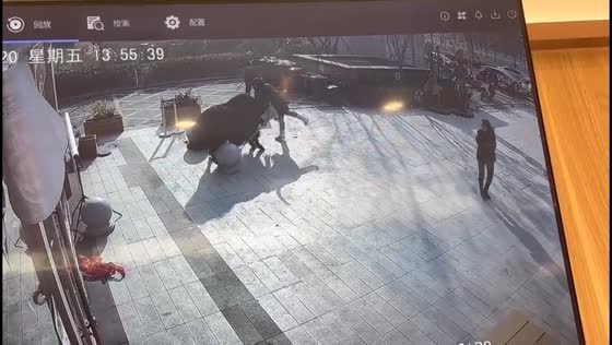 Woman gored by yak caught on security video in Henan, China