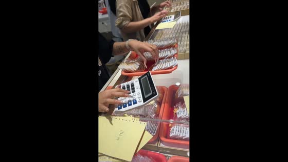 Woman rapidly calculates items while working in Guangdong, China