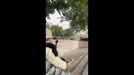 Playful ball game between owner and Border Collie in Sichuan, China