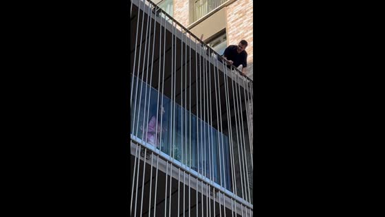 Unexpected house roof climb leaves homeowner amused!