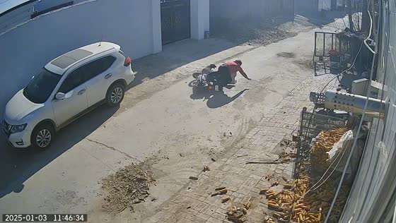 Woman on electric bike collides with dog in Hebei, China