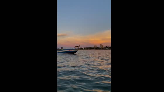 Adventurous boat dog: a joyful journey on the waters of Posadas, Argentina