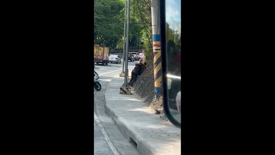 Road rage incident in Antipolo, Rizal, Philippines