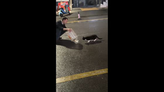 Cat chases mouse after it falls from container in Hunan, China