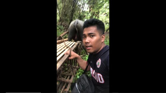 Person singing 'Versace on the Floor' takes a tumble in Bansud, Philippines 