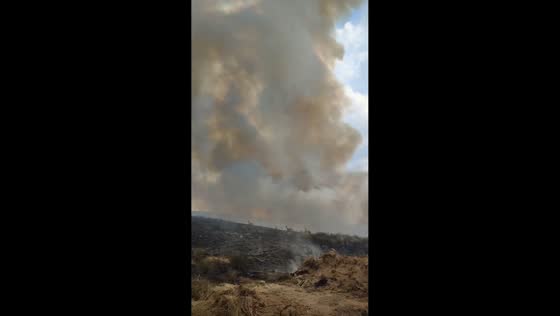 Wildfire forces wildlife to flee in Corporales, Castile and León