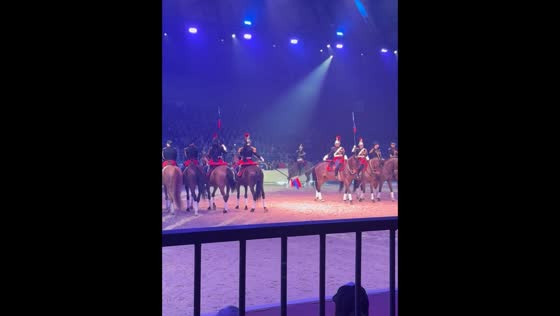 Rider falls during live equestrian show in Avignon, France