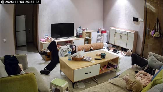 Woman trips over cat scratching board while entering home in Yunnan, China
