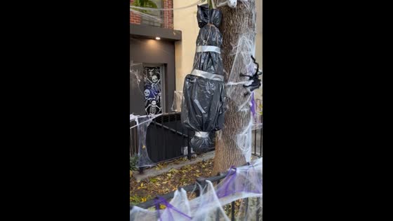 Halloween decorations in Brooklyn