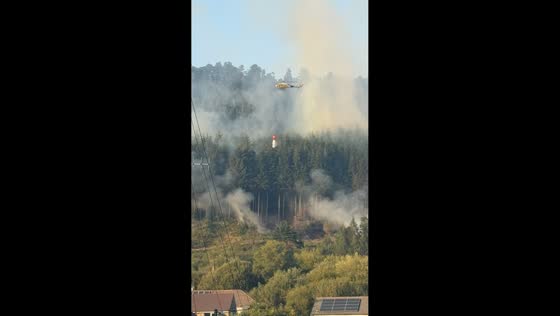 Wildfire sends thick smoke across forested hillside in Treherbert, South Wales, UK