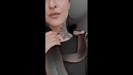 Morning routine: breakfast with Gideon the snake in Prague