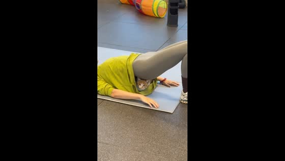 Cat causes funny workout mishap in Beijing, China
