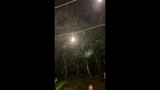 Light snow flurries surprise coastal in Wilmington, North Carolina, USA