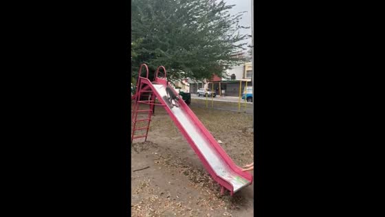 Dog joins family on slide in Guadalupe, Nuevo León, Mexico