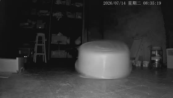 Cat gets covered by a flipped basin in Guangdong, China