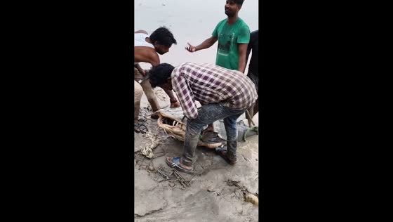 Men pull large fish from floodwater near Gandak Barrage in Nepal
