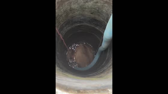 Efforts to rescue cow trapped in well in Jokarto Village, East Java