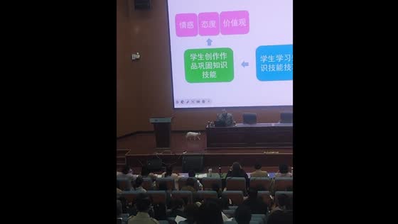 Kitten interrupts lecture in Hebei, China