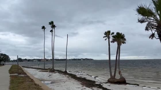 Pre-Hurricane Milton video captured in Tampa Bay