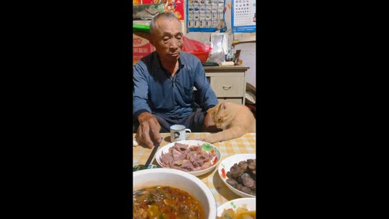 Cat grabs food from dining table in Shandong, China