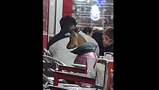 Goat in clothes sits at a chair eating kebab in Linares, Spain