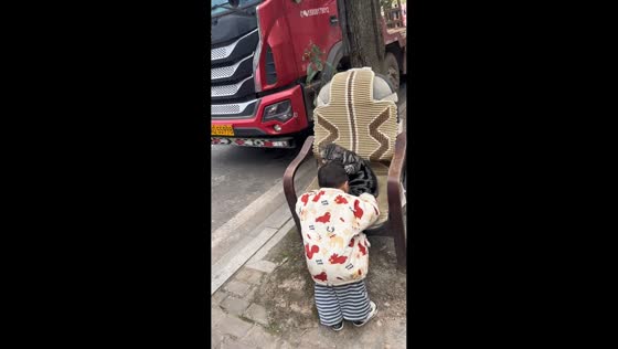 Cat reacts as boy playfully taps its head in Sichuan, China