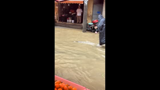 Large fish swims through flooded market road in Fujian, China