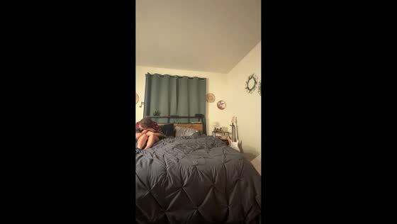 Cat repeatedly jumps into owner’s arms during nighttime routine in Sandy, Utah, USA