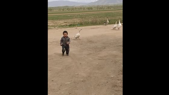 Child chases ducks in kyrgyzstan video