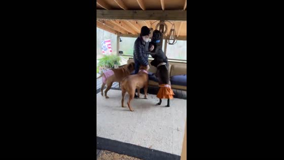 Joyful reunion: heartwarming welcome home by furry family in Smoke Rise, Alabama