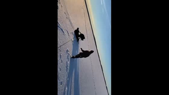 Winter tumble: playful pup sends young Kasper falling on icy lake!