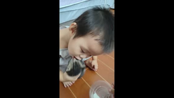 Little boy’s innocent gesture while feeding kitten in Hubei, China
