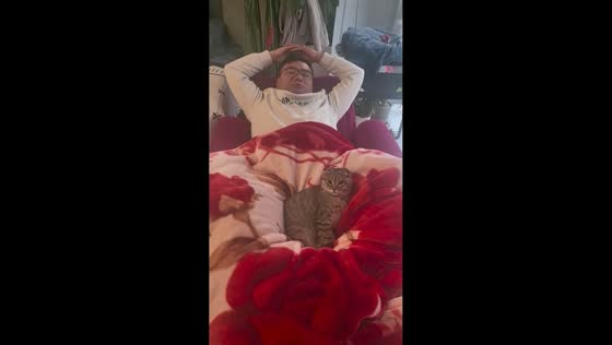 Man and cat wake up simultaneously in Jiangsu, China