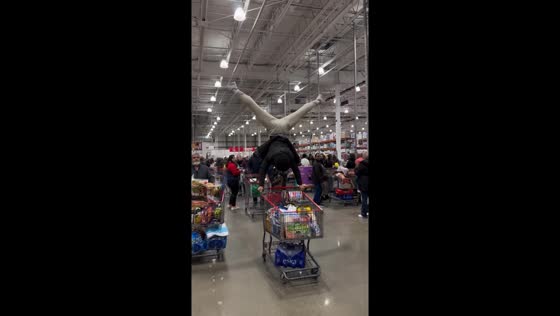 Grocery store gravity defiance: Montreal's supermarket stunt