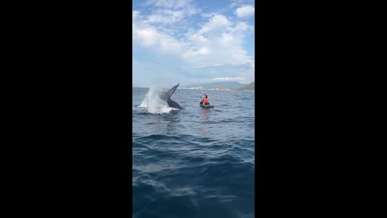 Whale encounter: jet ski splash moment captured!